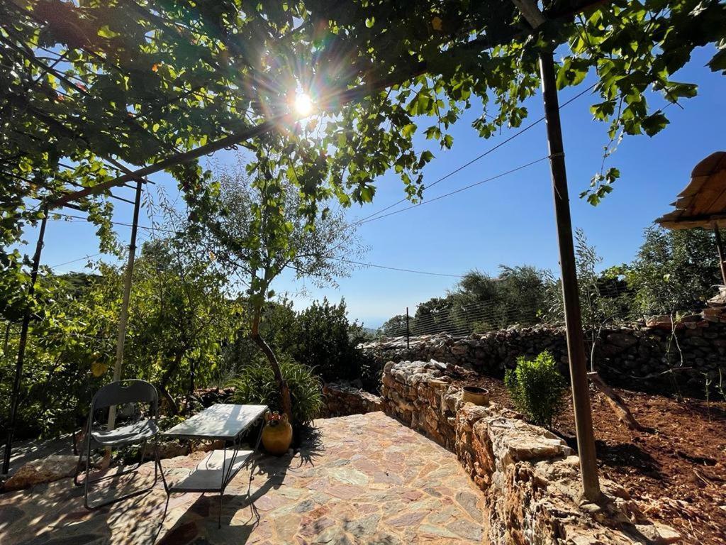 Find Your Peace In A Traditional Country House!! Láyia Exterior foto